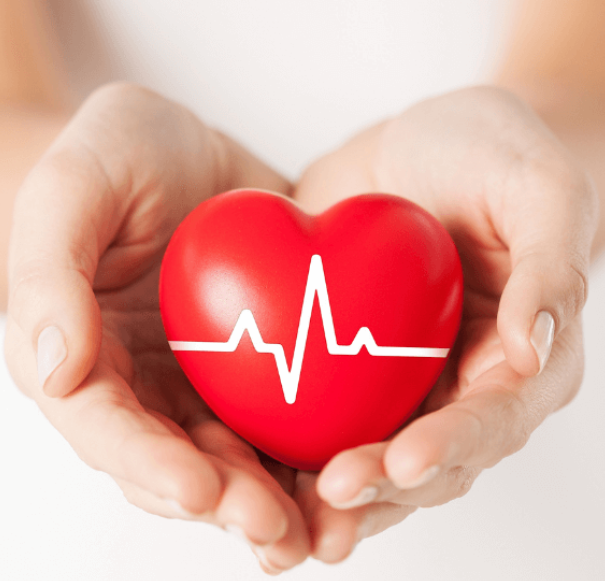 Cardiac Sonographer Jobs in New zealand