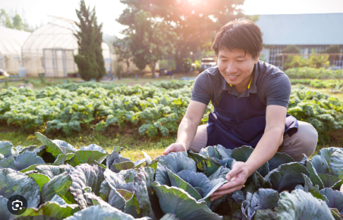 Nursery Worker Jobs In Canada 2023