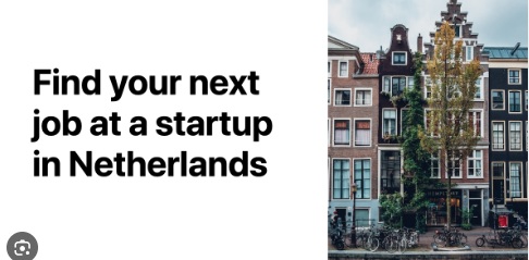 Project Manager Jobs In Netherlands 2023