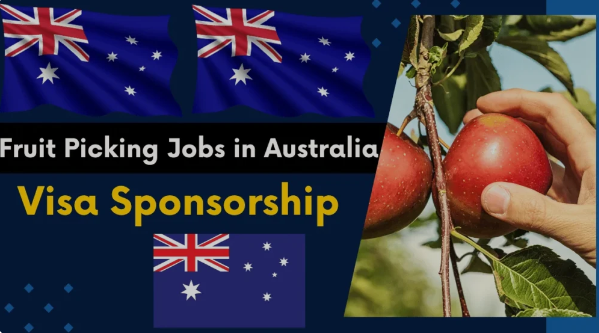 Visa Sponsorship Food Pick-Packer Jobs in Australia 2024