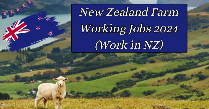 New Zealand Farm Working Jobs 2024 (Work in NZ)