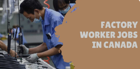 Factory Worker Jobs in Canada