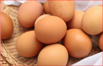 looking for Egg Packers In Spain