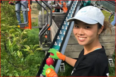 Farm Foreman Jobs in Dubai